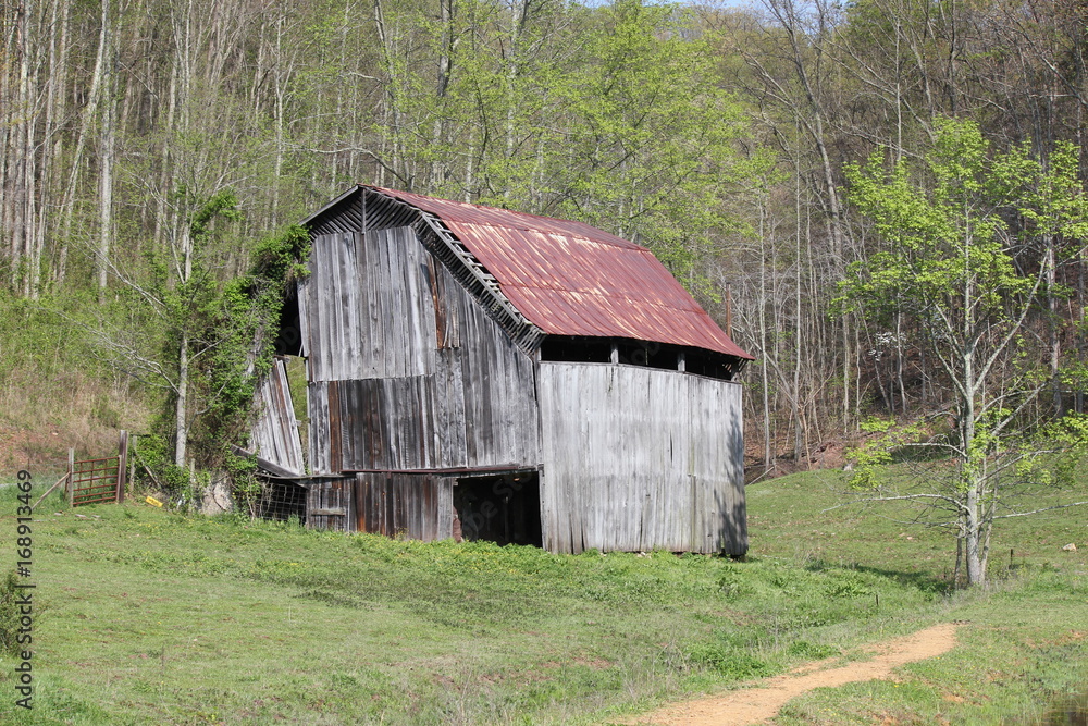 Barn with more forest in the backgorund Barn with more forest in the backgorund