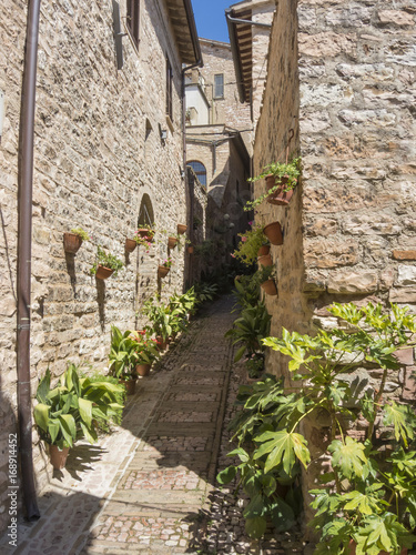 Plants and flowers in pots on narrow streets of the ancient village of Spello  Umbria  Italy