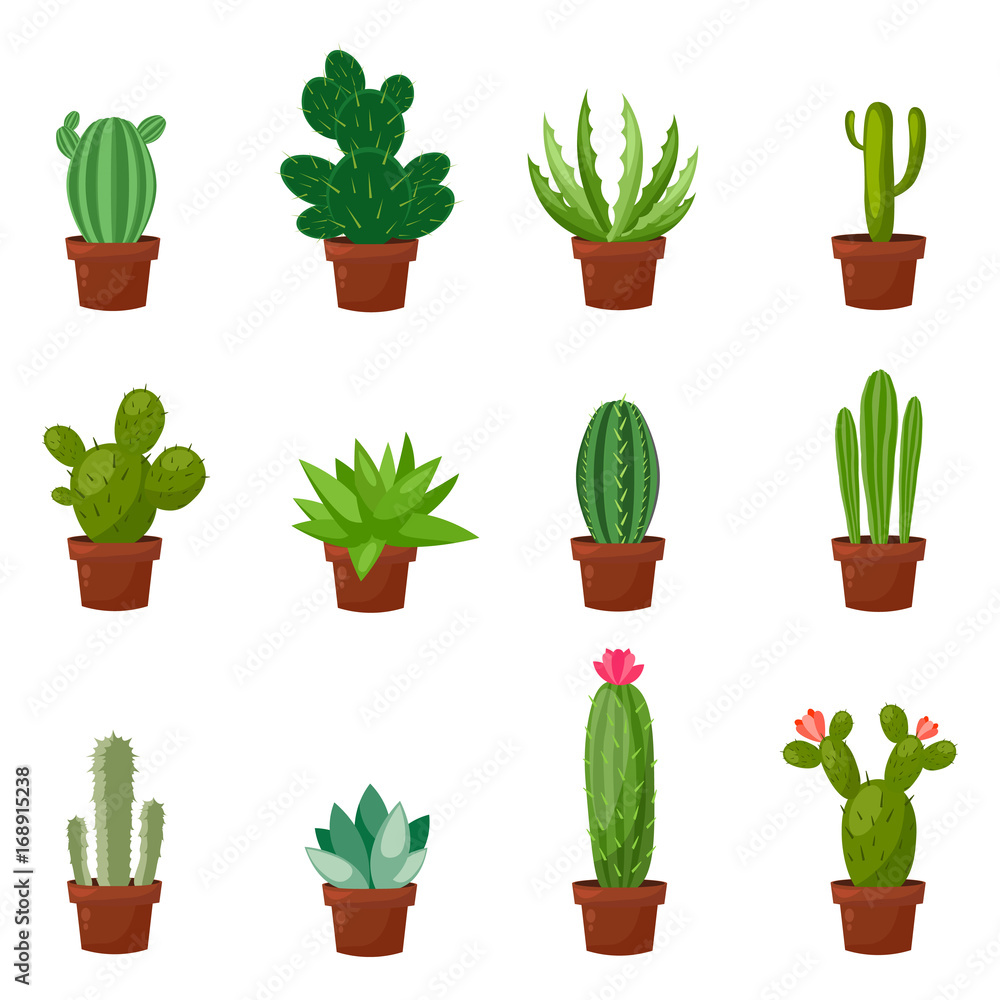 Set of desert or room green cactus. Flat and cartoon style. Vector illustration on white background. Element for your design. Set of desert or room green cactus. Flat and cartoon style. Vector illustration on white background. Element for your design.