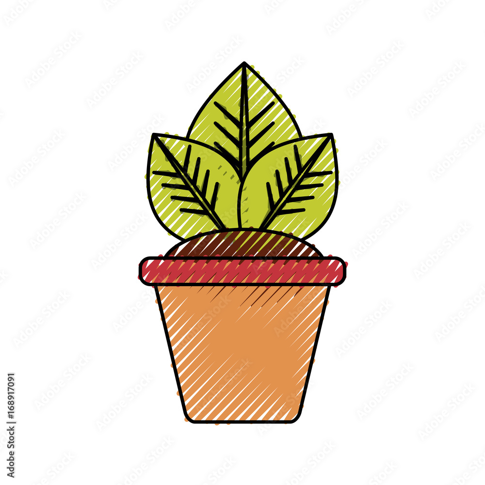 Plant in pot icon vector illustration graphic design Plant in pot icon vector illustration graphic design