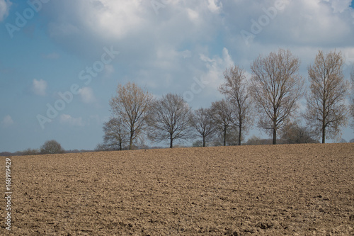 Flanders field with clay against tree backdrop