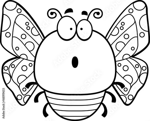 Surprised Little Butterfly