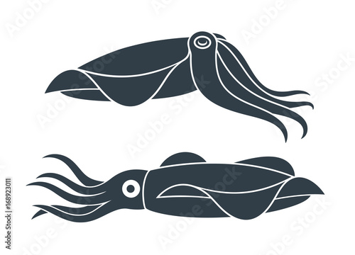 Squid Icon. Isolated squid on white background photo