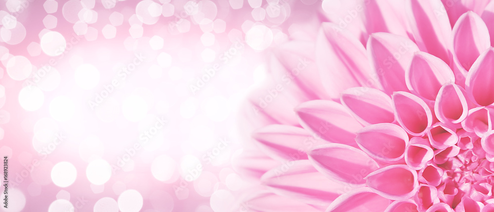 Wunderschöne Blumen im Sommer Wunderschöne Blumen im Sommer
