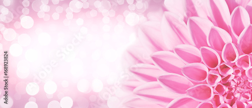 Fototapeta Naklejka Na Ścianę i Meble -  Wunderschöne Blumen im Sommer