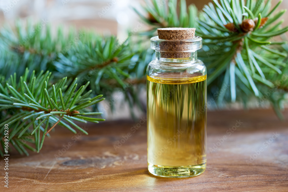 A bottle of spruce essential oil with spruce twigs A bottle of spruce essential oil with spruce twigs