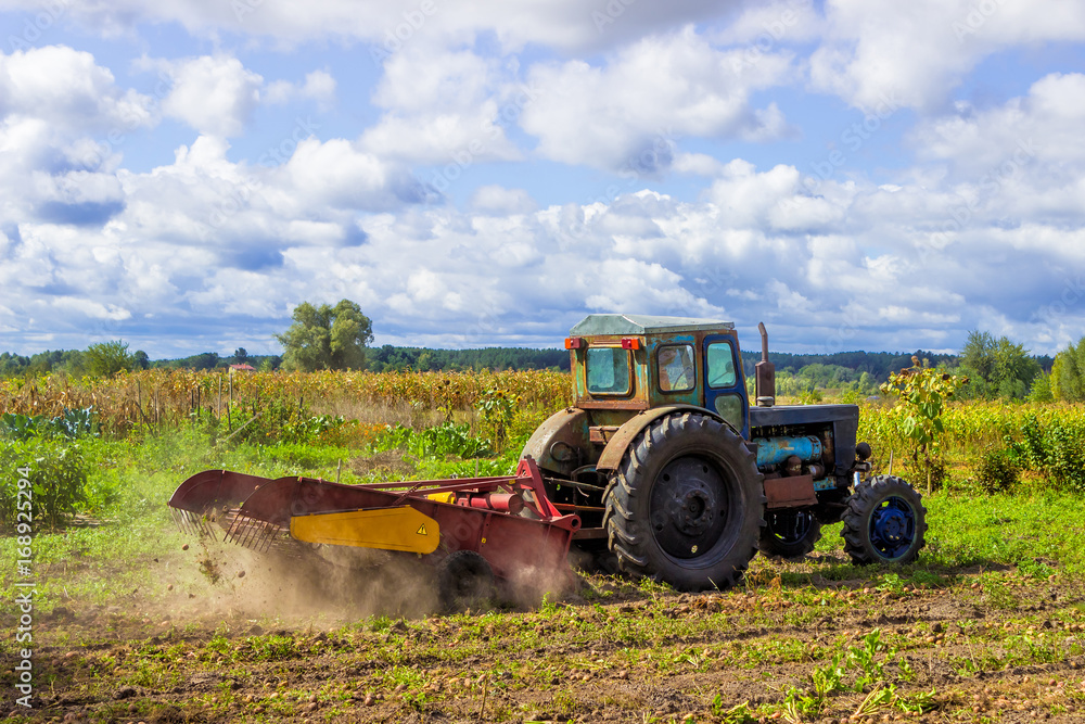Fototapeta premium Small tractor working in the field. Machine farmers. Agriculture. Cleaning the fall harvest from the field. Tinted