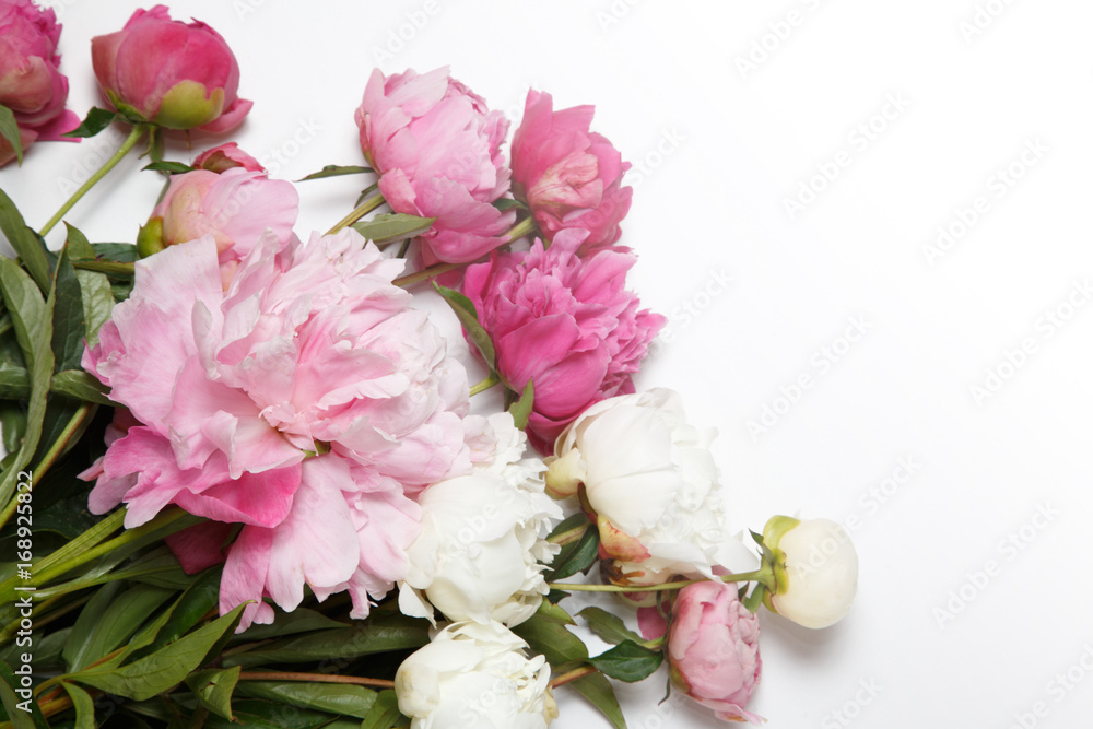 A bouquet of pink peonies lies on a white background.
