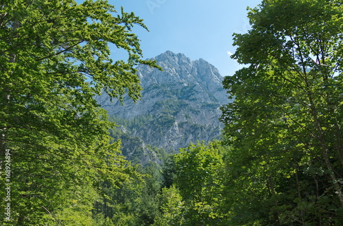 Kärnten Gebirge Karawanken Alm photo