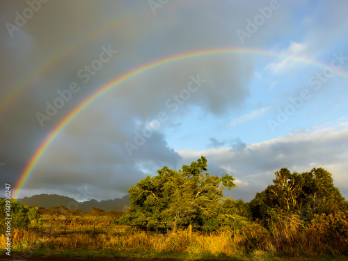 A rainbow appears after rainfall on the Hawaiian island of Kauai 