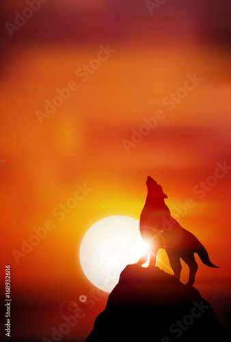 戌　年賀状　日の出　背景