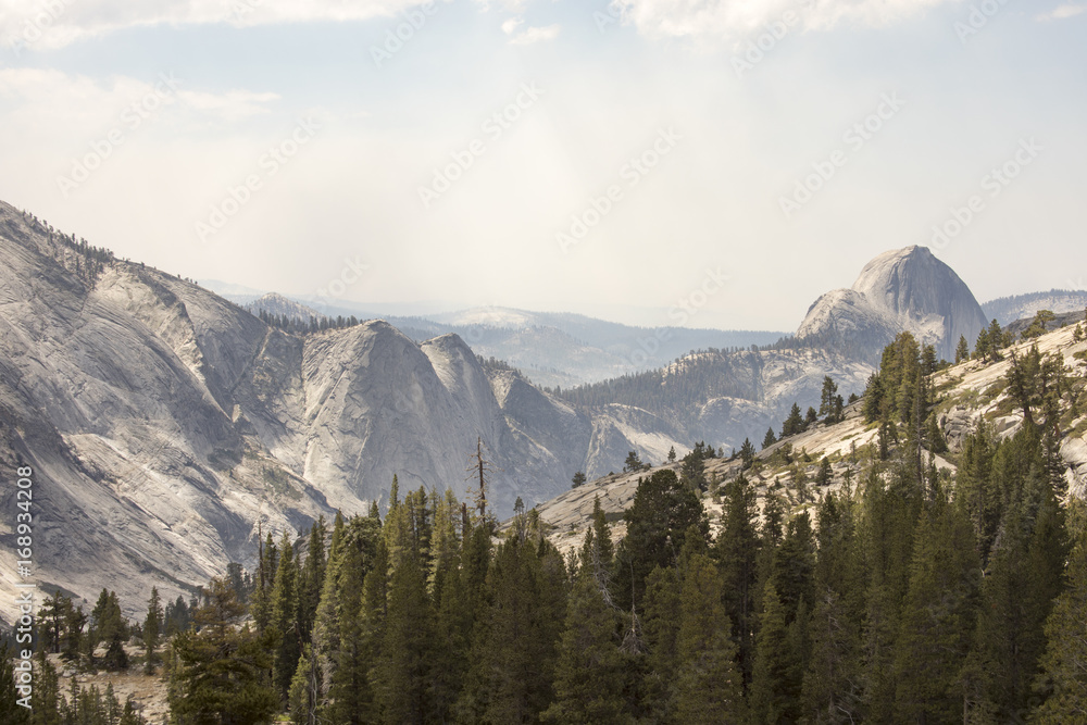 Half Dome peak in Yosemite landscape