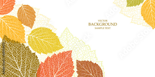 Autumn background with leaves 