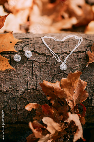 Accessories for the bride against the background of the tree trunk and autumn foliage. Artwork. Autumn wedding concept