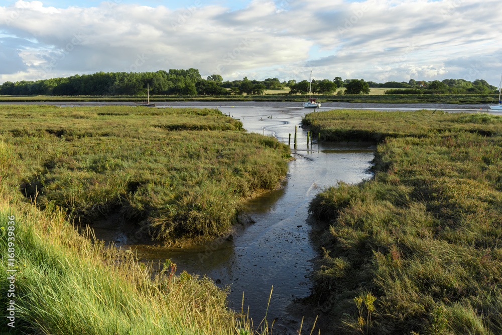 Obraz premium River side at low tide