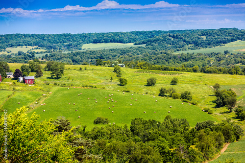 American Farmland With Blue Cloudy Sky