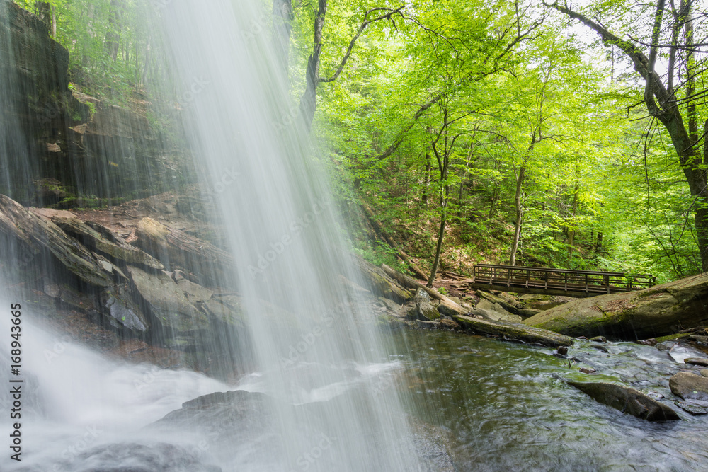 Obraz premium Scenic Waterfall in Ricketts Glen State Park in The Poconos in Pennsylvania