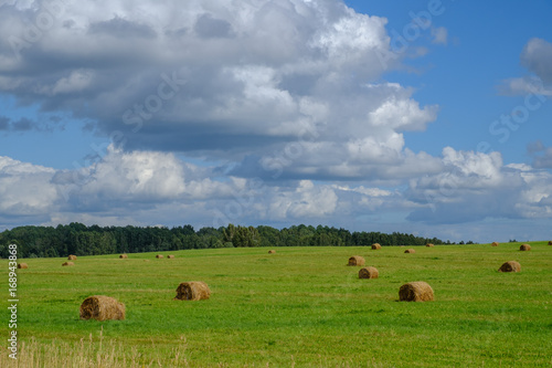 Bales of hay on a field