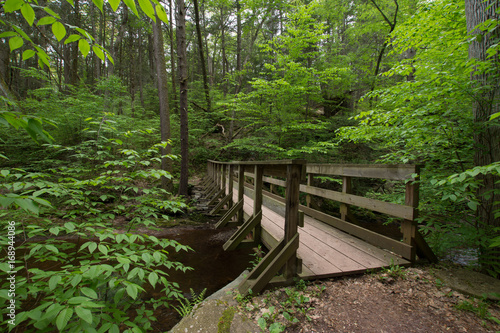 Scenic Waterfall in Ricketts Glen State Park in The Poconos in Pennsylvania photo