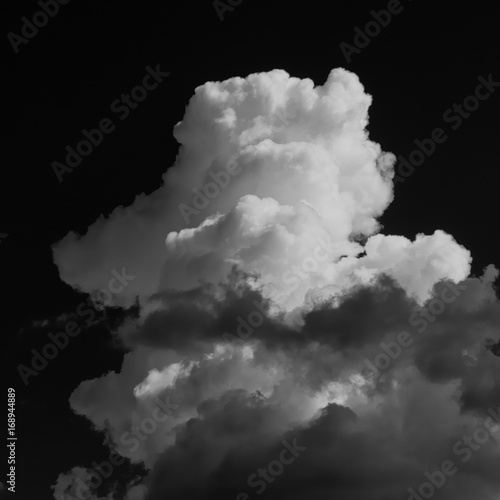 Poodle Cloud