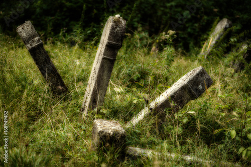 Old abandoned Jewish cemetery. (Blurred effect Illustration) photo