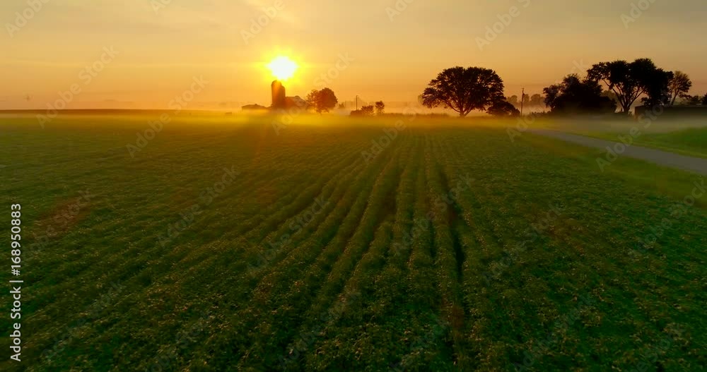 Ethereal, beautiful sunrise over foggy agricultural landscape, aerial perspective.