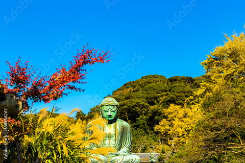 The Great Buddha in Kamakura. Located in Kamakura, Kanagawa Prefecture Japan.The season is autumn.
