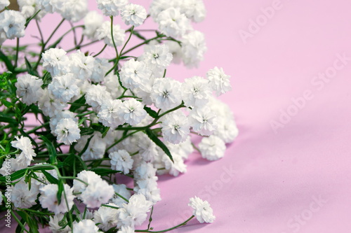 букет цветов белых на розовом фоне