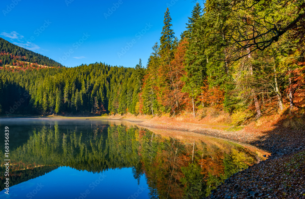 landscape with forest around the mountain lake