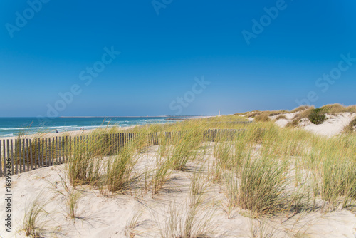 Praia da Barra, beach near Aveiro in Portugal, sand dunes