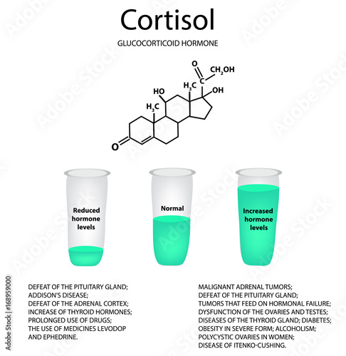 Chemical molecular formula of the hormone cortisol. The hormone of the adrenal glands. Decrease and increase of cortisol. Infographics. Vector illustration