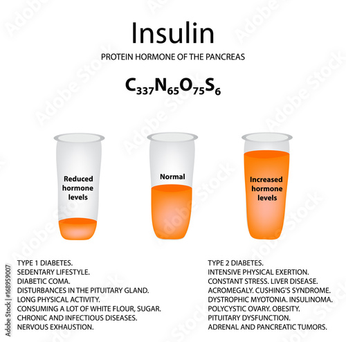 Chemical molecular formula of the hormone insulin. The hormone of the pancreas. Decrease and increase of insulin. Infographics Vector illustration