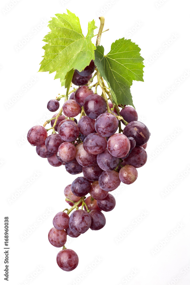 Fototapeta premium grape
