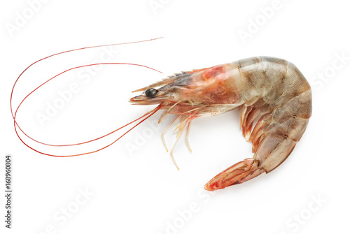 Fresh shrimp isolated on white background. Seafood.