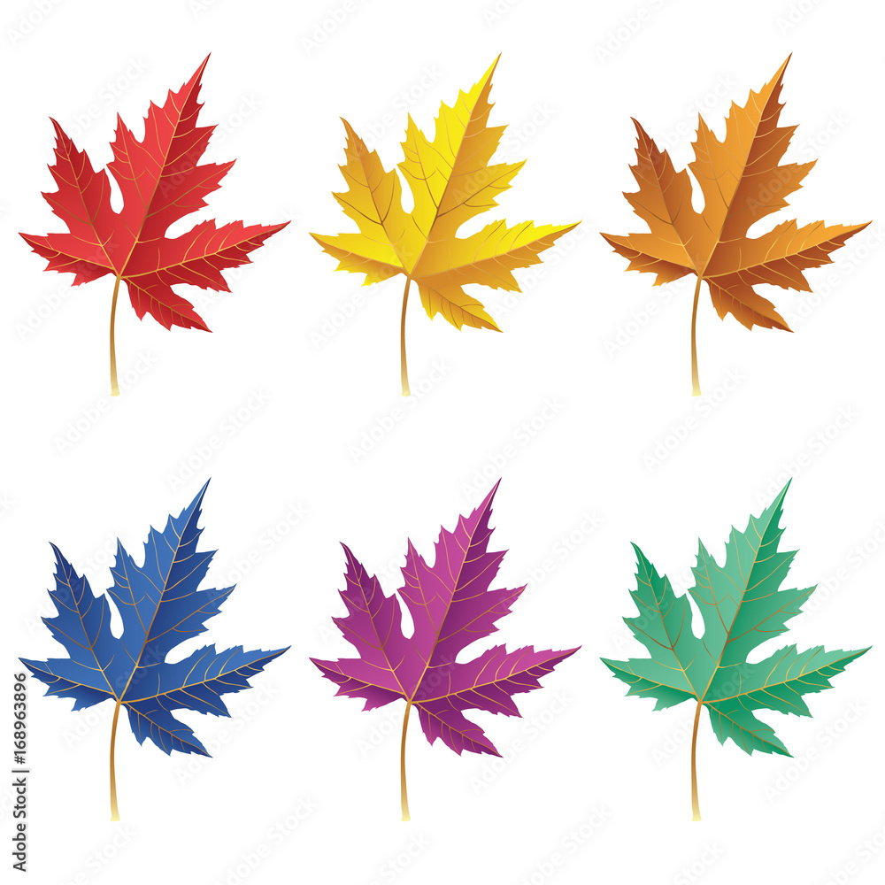 Collection of color autumn leaves. Autumn leaves set. Maple leaves. Collection of color autumn leaves for design, banner, background, ornament, and discount. Gradient autumn leaves. Collection of color autumn leaves. Autumn leaves set. Maple leaves. Collection of color autumn leaves for design, banner, background, ornament, and discount. Gradient autumn leaves.