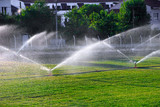 Sprinklers watering grass
