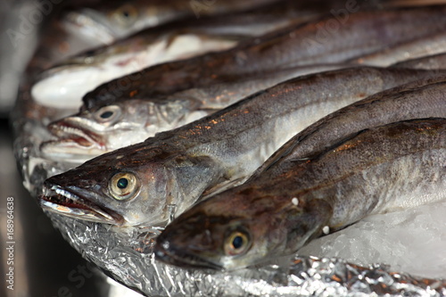 fresh fish at market, Paris