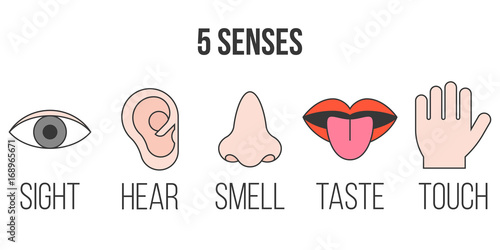 5 senses icon in outline collection with  filled color