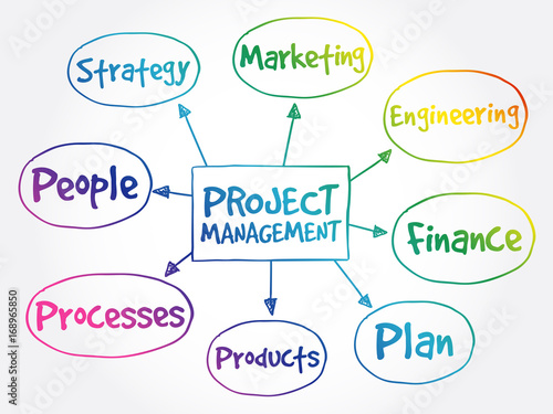 Project management mind map, business concept