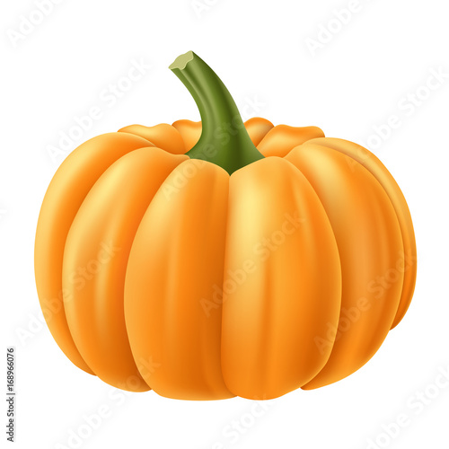 Isolated, realistic pumpkin for autumn and Halloween. Realistic vector illustration.