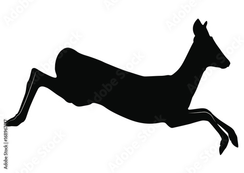 Vector silhouette of Roe Deer doe jump.