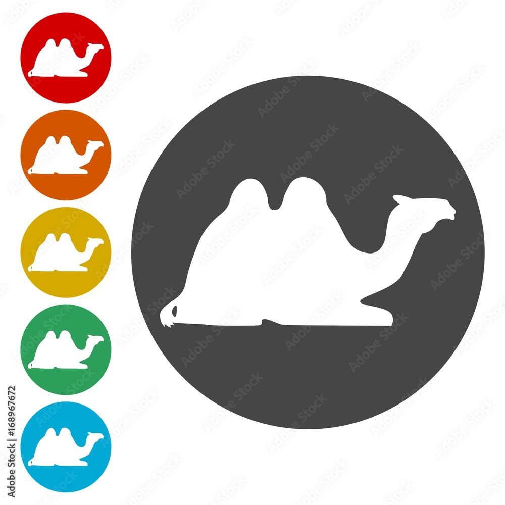 Camel silhouette vector icons set - Illustration Camel silhouette vector icons set - Illustration