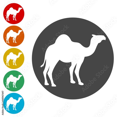 Camel silhouette vector icons set - Illustration 