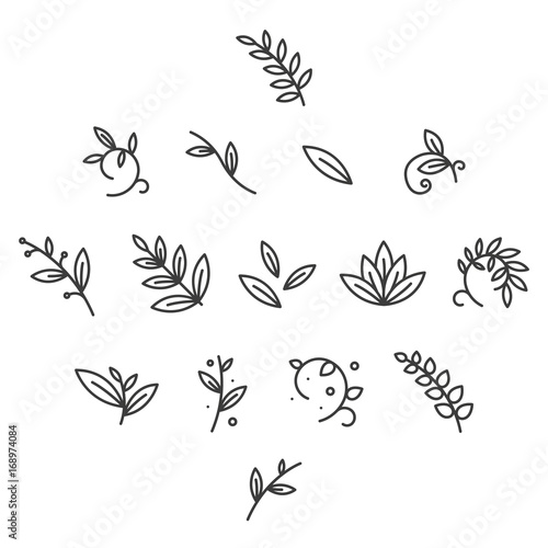 Green Floral Decorative Branch Leaves Plant Flat Line Stroke Icon Pictogram Symbol