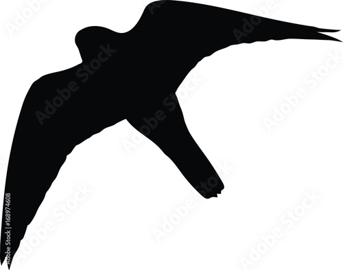 Silhouette of the Falcon in flight.