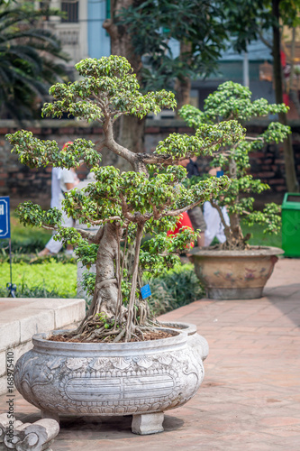 Garnde in the Temple of Literature Hanoi, Vietnam