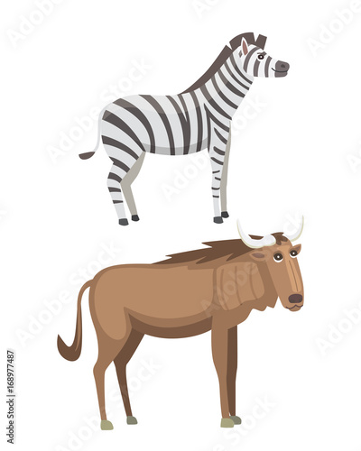 African animals cartoon vector set. zebra  safari isolated illustration