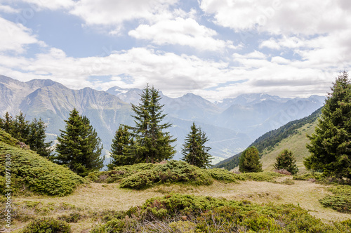 Riederalp, Riederfurka, Moosfluh, Hohfluh, Panoramaweg, Gratweg, Wallis, Aletsch, Aletschwald, Aletschgletscher, Alpen, Rhonetal, Sommer, Schweiz photo