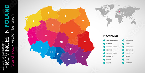 Fototapeta Wektorowa mapa województw w Polsce - KOLOR