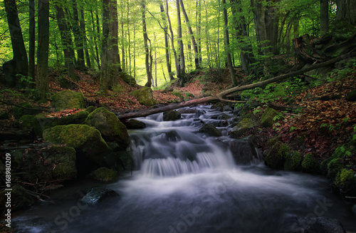 Nature Brook Trout Scene with Rocks and Long Exposure Water